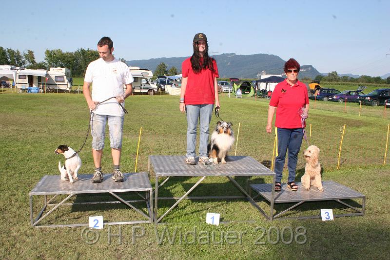 jubil.lusten. 370.jpg